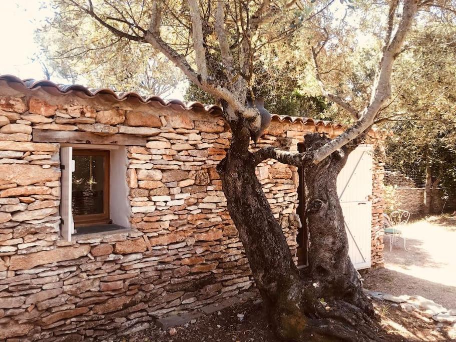 Petite Bergerie Villa Bonifacio  Ngoại thất bức ảnh